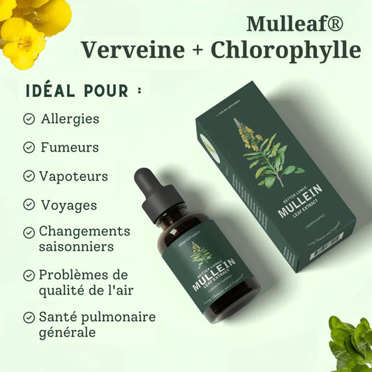 ✨ Respira – Respirez mieux naturellement ( 𝐌ullein + 𝐂𝐡𝐥𝐨𝐫𝐨𝐩𝐡𝐲𝐥𝐥𝐞 BF)