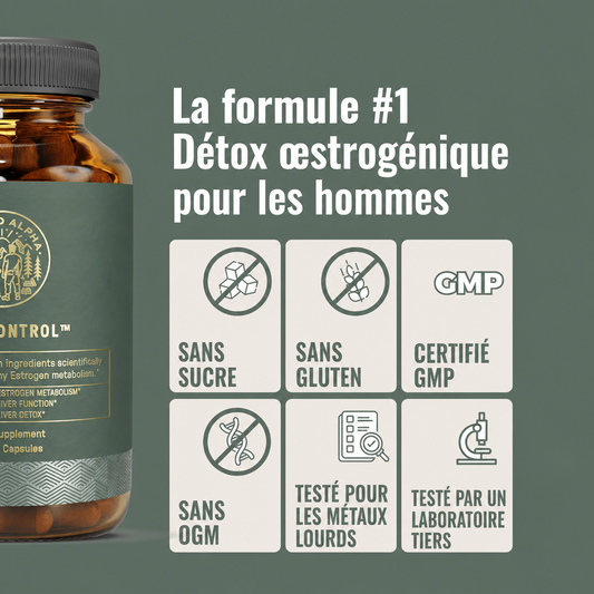 EstroControl — Régulateur Hormonal Masculin